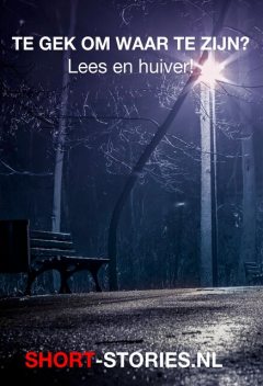 Te gek om waar te zijn, Publiek Domein