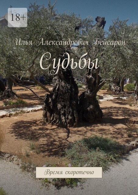 Судьбы. Время скоротечно, Илья Бейсарон