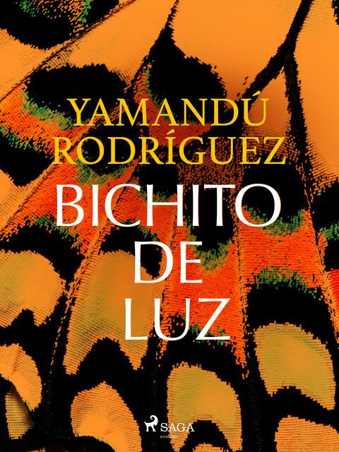 Bichito de luz, Yamandú Rodríguez