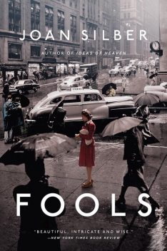 Fools, Joan Silber