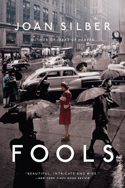 Fools, Joan Silber