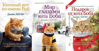 Серия «Уличный кот по имени Боб» (3 книги), Джеймс Боуэн