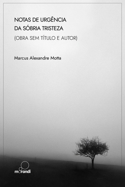 Notas de urgência da sóbria tristeza (obra sem título e autor), Marcus Alexandre Motta