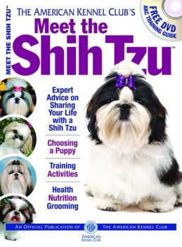 Meet the Shih Tzu, American Kennel Club