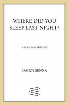 Where Did You Sleep Last Night, Danzy Senna