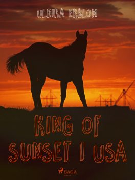 King of Sunset I USA, Ulrika Ekblom