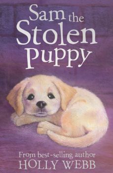 Sam the Stolen Puppy, Holly Webb, Sophy Williams