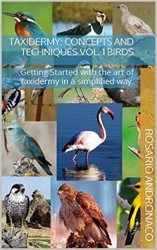 Taxidermy: concepts and techniques vol. 1 BIRDS – Getting Started with the art of taxidermy in a simplified way, Rosario Andronaco