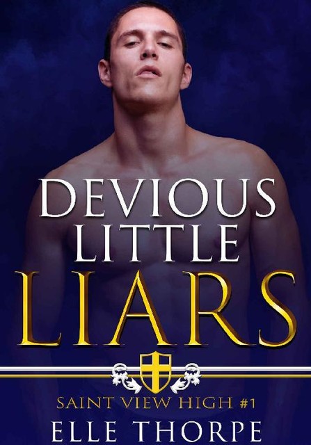 Devious Little Liars: A High School Bully Romance (Saint View High Book 1), Elle Thorpe