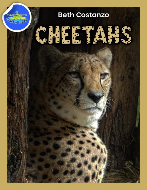 Cheetah Activity Workbook ages 4–8, Beth Costanzo