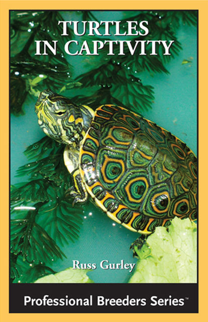 Turtles in Captivity, Russ Gurley