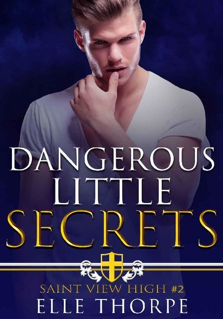 Dangerous Little Secrets: A Reverse Harem Bully Romance (Saint View High Book 2), Elle Thorpe