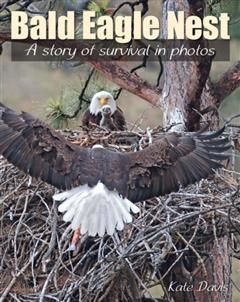 Bald Eagle Nest, Kate Davis