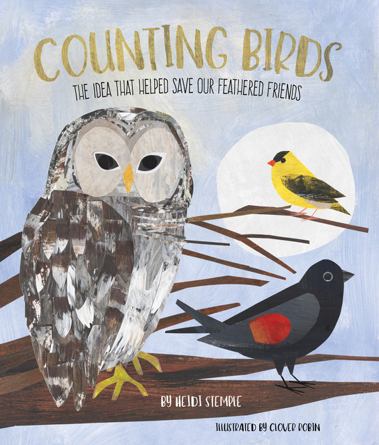 Counting Birds, Heidi E.Y. Stemple