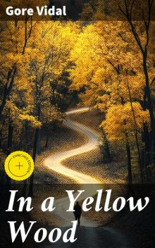 In a Yellow Wood, Gore Vidal