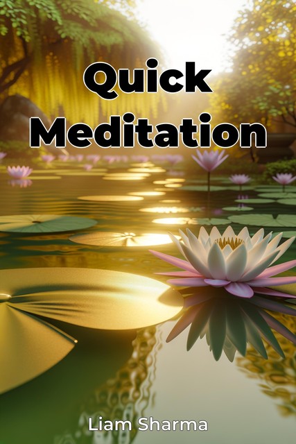 Quick Meditation, Liam Sharma