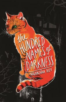 The Hundred Names of Darkness, Nilanjana Roy