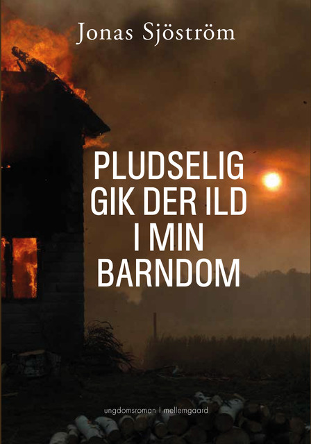 Pludselig gik der ild i min barndom, Jonas Sjöströms