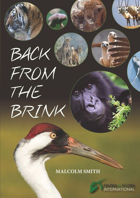 Back from the Brink, Malcolm Smith