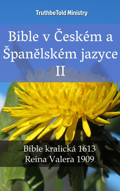 Bible v Českém a Španělském jazyce II, Joern Andre Halseth