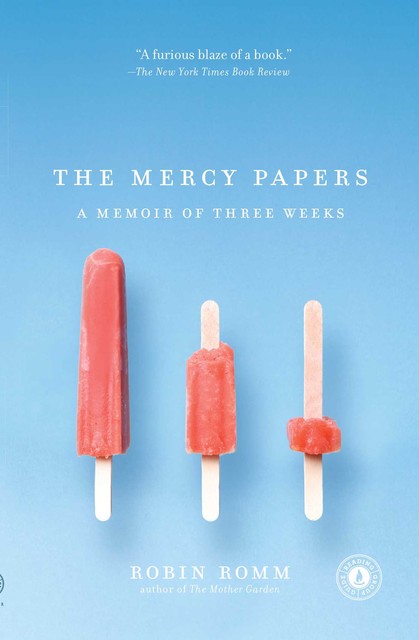 The Mercy Papers, Robin Romm