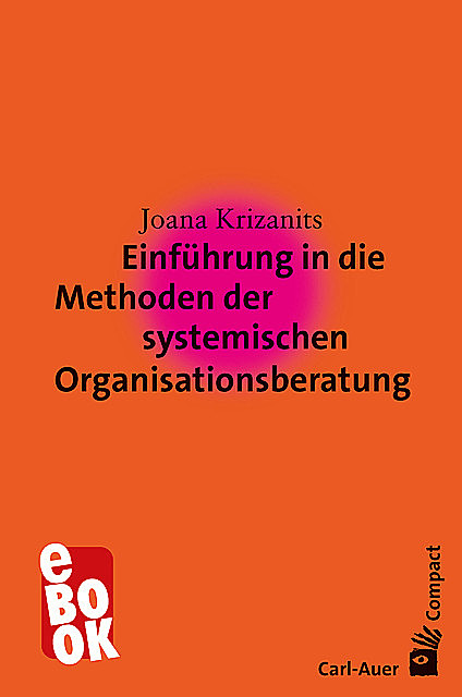 Einführung in die Methoden der systemischen Organisationsberatung, Joana Krizanits