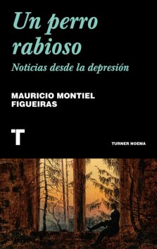 Un perro rabioso, Mauricio Montiel Figueiras