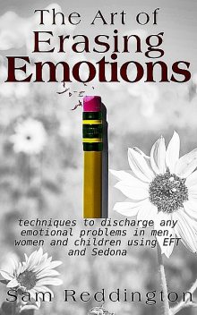 The Art of Erasing Emotions, Sam Reddington