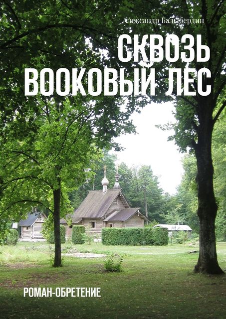 Сквозь Bookовый лес, Александр Балыбердин