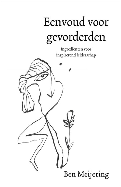 Eenvoud voor gevorderden, Ben Meijering