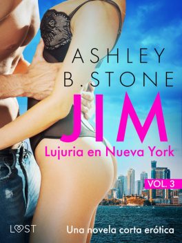 Jim 3: Lujuria en Nueva York – una novela corta erótica, Ashley B. Stone
