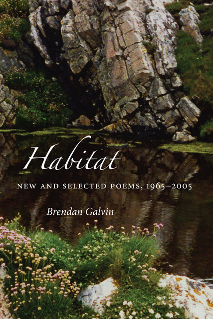 Habitat, Brendan Galvin