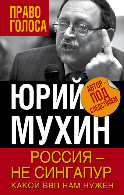 Россия – не Сингапур. Какой ВВП нам нужен, Юрий Мухин