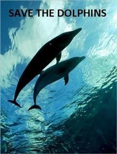 Save the Dolphins Photography Book, 