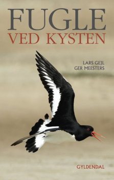 Fugle ved kysten, Ger Meesters, Lars Gejl