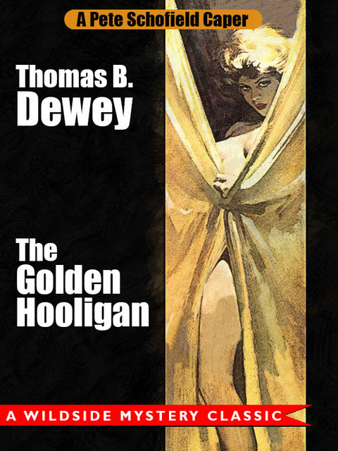 The Golden Hooligan: A Pete Schofield Caper, Thomas B.Dewey