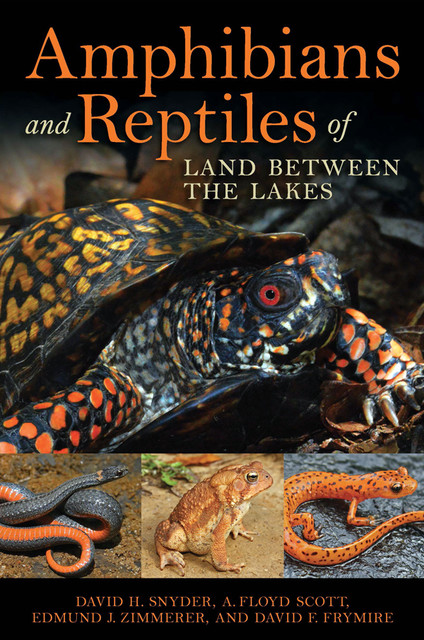 Amphibians and Reptiles of Land Between the Lakes, A. Floyd Scott, David F. Frymire, David H. Snyder, Edmund J. Zimmerer