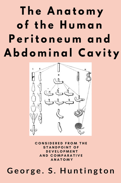 The Anatomy of the Human Peritoneum and Abdominal Cavity, George.S. Huntington