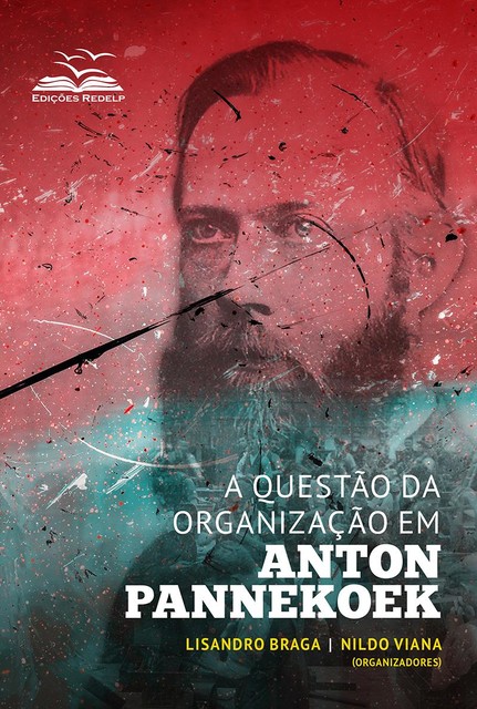 A questão da organização em Anton Pannekoek, Lisandro Braga e Nildo Viana