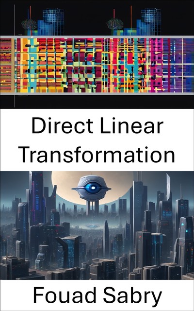 Direct Linear Transformation, Fouad Sabry