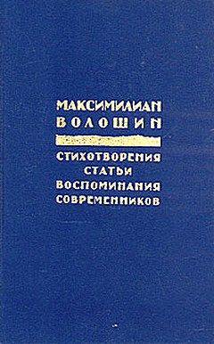 Заметки 1917 года, Максимилиан Волошин