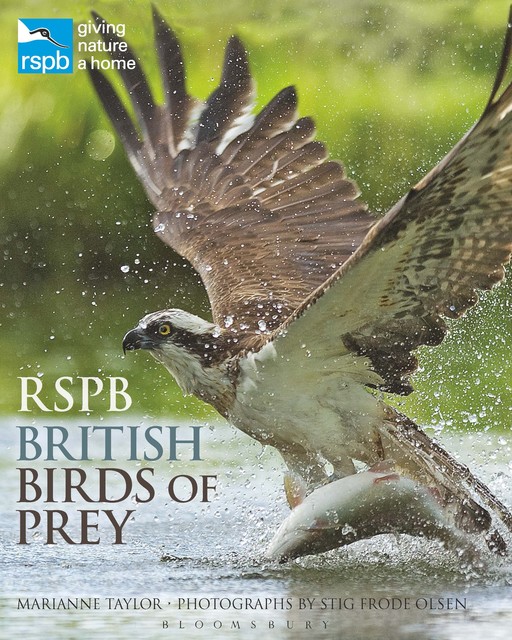 RSPB British Birds of Prey, Marianne Taylor
