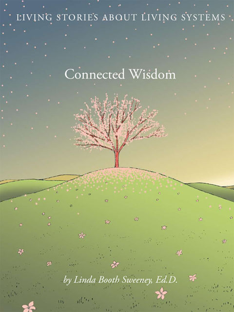 Connected Wisdom, Linda Booth Sweeney