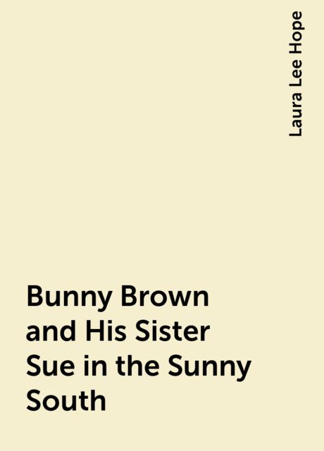 Bunny Brown and His Sister Sue in the Sunny South, Laura Lee Hope