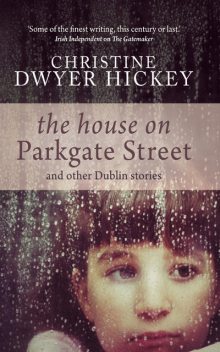 The House on Parkgate Street, Christine Dwyer Hickey