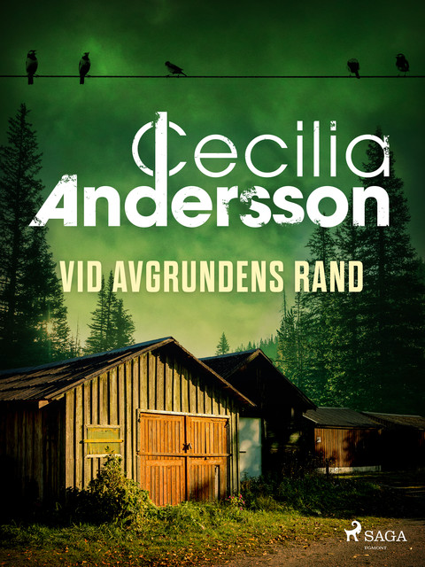 Vid avgrundens rand, Cecilia Andersson