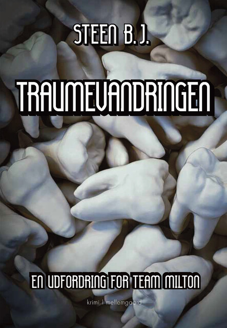 TRAUMEVANDRINGEN, Steen B.J.