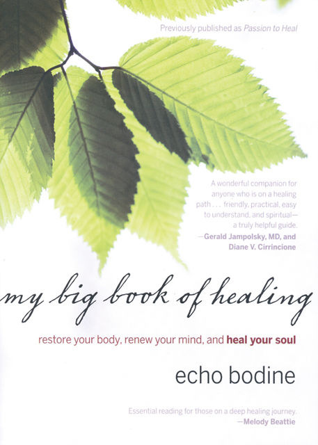 My Big Book of Healing, Echo Bodine
