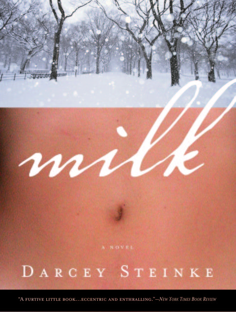 Milk, Darcey Steinke