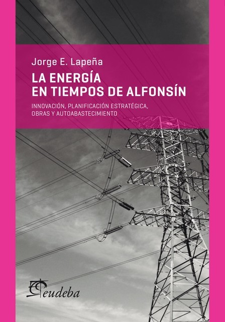 La energía en tiempos de Alfonsín, Jorge E. Lapeña